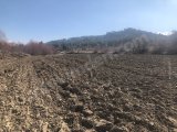 Sahibinden Satılık Tarla