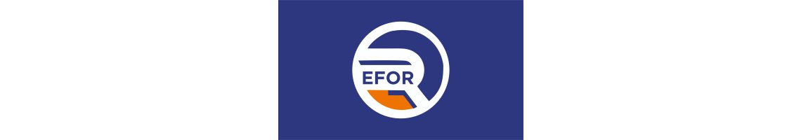 Efor Emlak Gayrımenkul Danışmanlığı